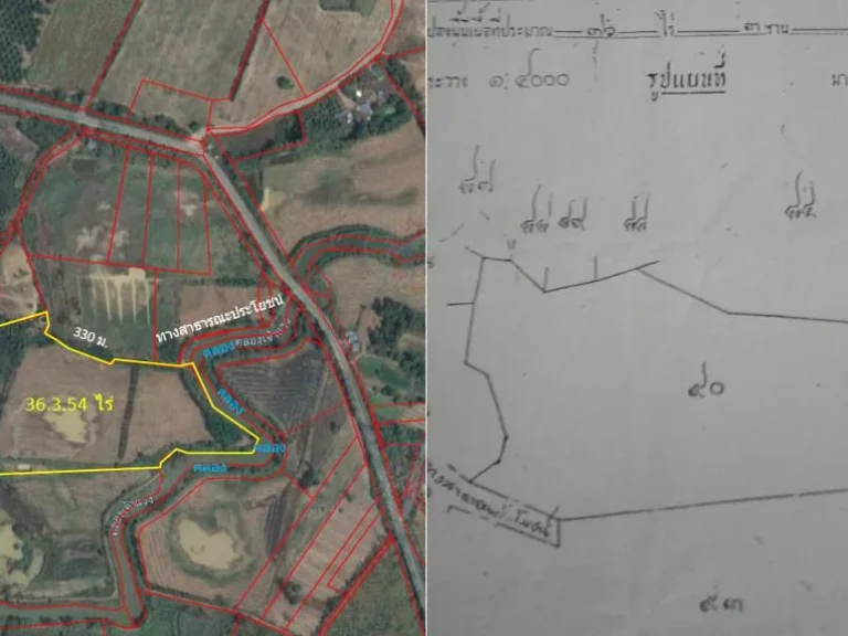 ขายที่ดิน เนื้อที่ 36 ไร่ 3 งาน 54 ตารางวา
