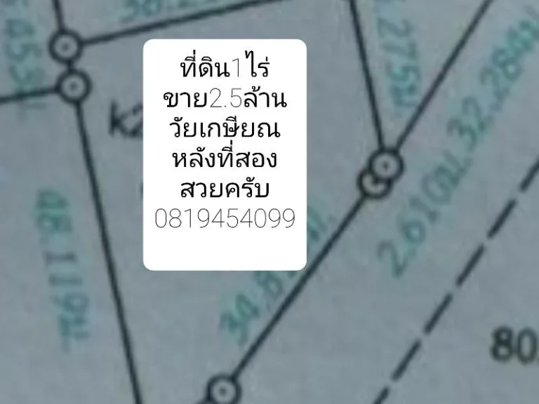 1ไร่ หน้ากว้างๆ ถนนราดยาง ไฟฟ้า น้ำประปา เดินทางสะดวกมากๆ