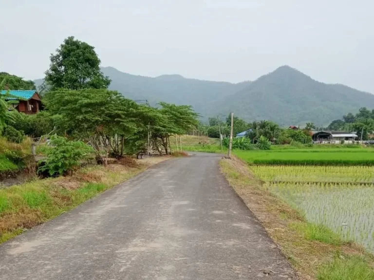 ขายที่ดินติดถนนลาดยาง ทุ่งปี้ แม่วาง พร้อมโอน