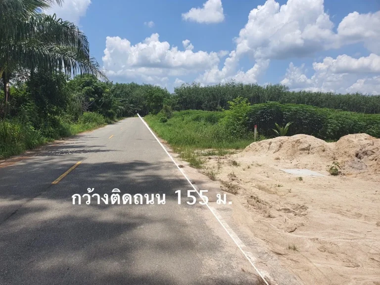 ขายที่ดิน 20 ไร่ ติดถนน มีไฟฟ้า ประปา ป่ายุบใน ระยอง