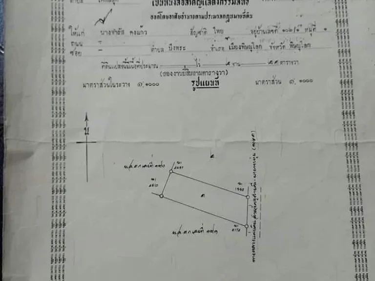 ขายที่ดินติดถนนพิษณุโลกบางกระทุ่ม