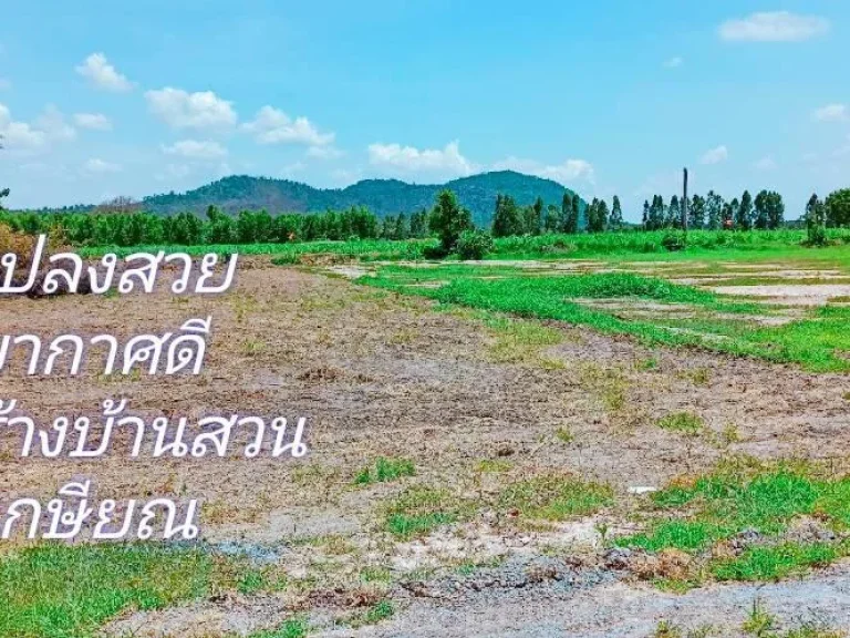 ขายที่ดินวิวเขาสวย ออู่ทองสุรรณ บรรยากาศดีเหมาะสร้างบ้านสวนเกษตร เดินทางสะดวกไม่ไกลกรุงเทพ