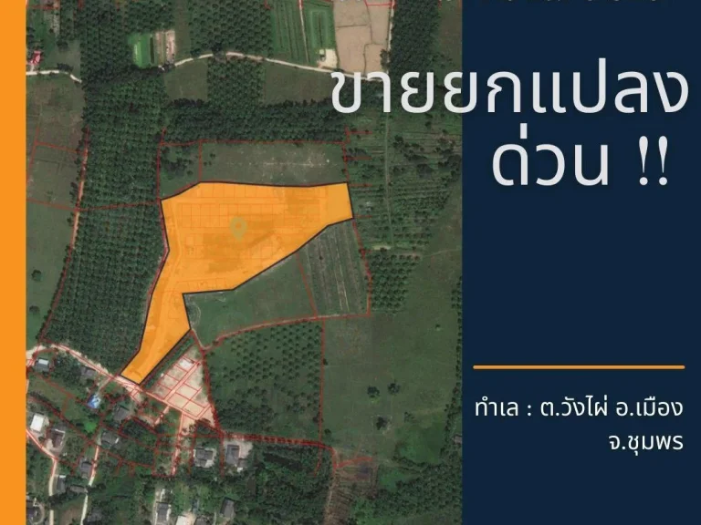 ขายโครงการหมู่บ้านเขตตัวเหมืองชุมพร