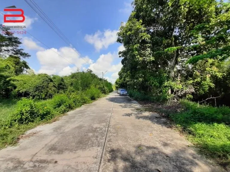 ที่ดินถมแล้ว โครงการ สวนเกษตรไผ่ขวาง เนื้อที่ 279 ตรว ถนนสุพรรณบุรี-ป่าโมก สุพรรณบุรี