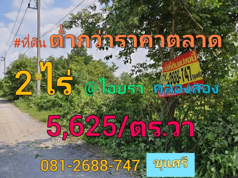 ขายต่ำกว่าราคาตลาด ที่ดิน 2 ไร่ ซอย ไอยรา 36 อำเภอ คลองหลวง จังหวัด ปทุมธานี