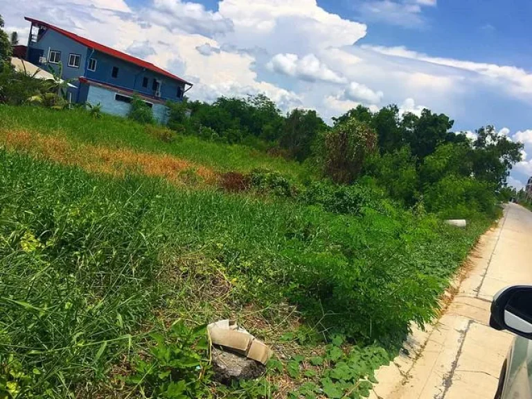 ขาย ที่ดิน 500 ตรว ซอยสังฆสันติสุข 6 เขตหนองจอก