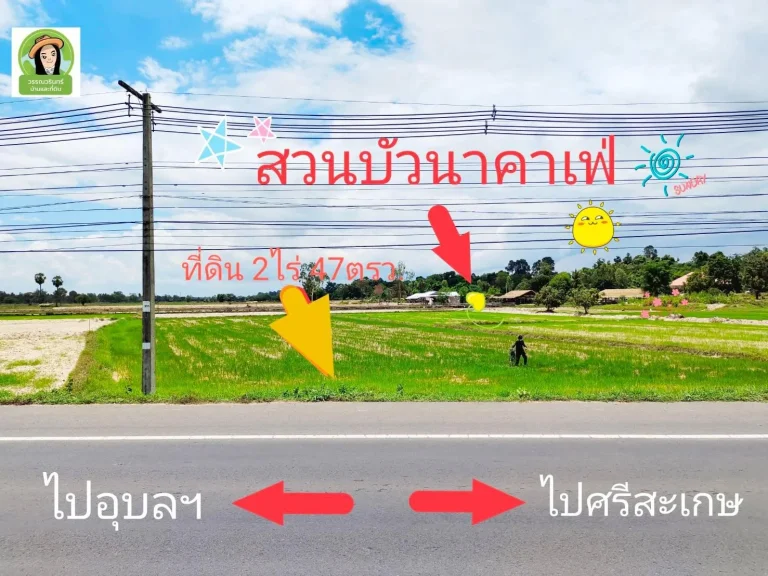 ที่ดินติดถนนอุบล-ศรีสะเกษ ติดบัวนาคาเฟ่