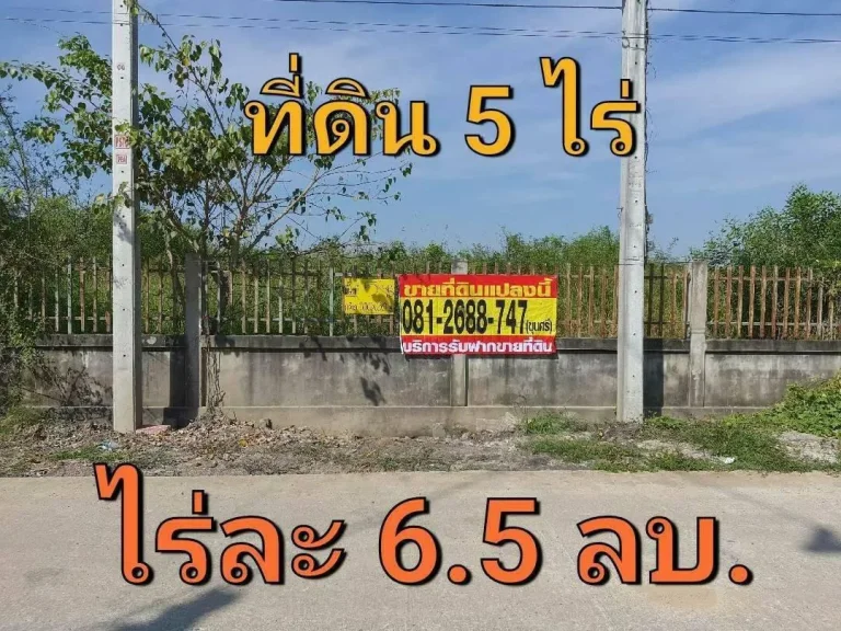 ขายที่ดินสร้างโกดัง 5 ไร่ ติดถนนคอนกรีตสาธารณะ มีระบบประปาและไฟฟ้า 3 เฟส คลอง 6 ลำลูกกา ปทุมธานี ที่ดินเนื้อที่ 5 ไ