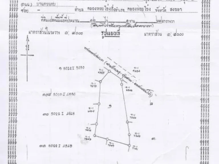 ขายที่ดินสวนยาง15ไร่