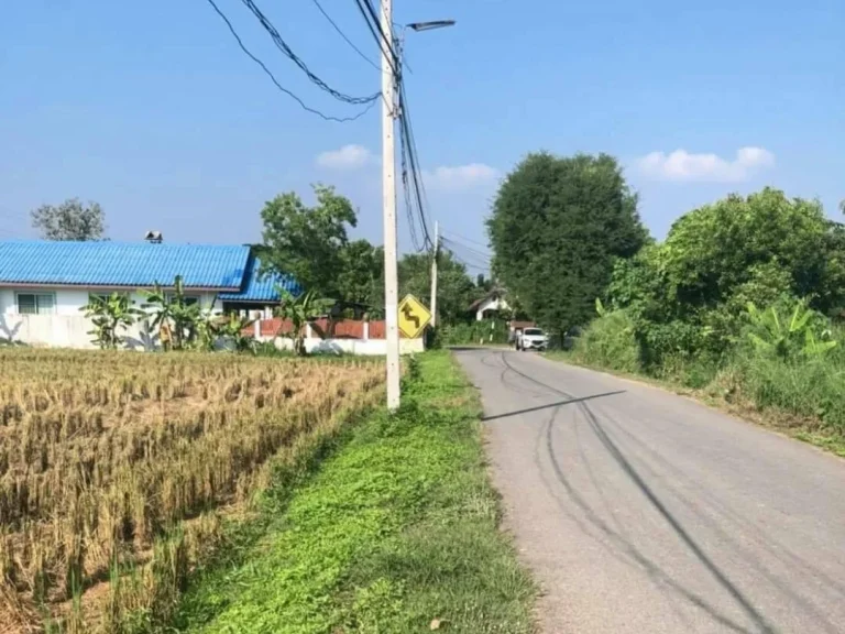 ขายที่ดินบ้านแหวน สันผักหวานหางดง ราคาถูก