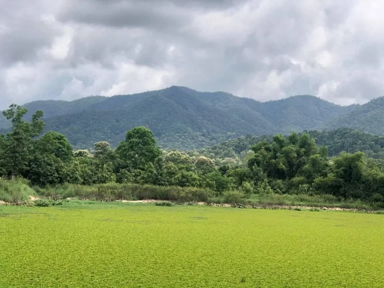 ที่ดินเอกสารโฉนด ติดบึงน้ำขนาดใหญ่ วิวเขาโอบล้อม แม่ออน เชียงใหม่