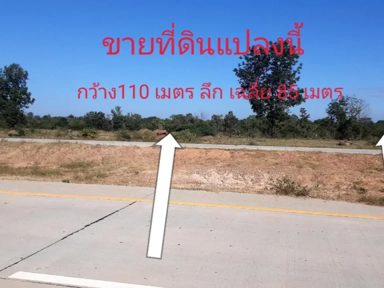 ที่ดิน ติดถนน วงแหวนรอบนอก 290 ทิศเหนือ ตอนที่1