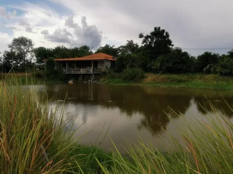 ขายที่ดินแปลงสวยสไตล์โคกหนองนา ตดอนทอง จพิษณุโลก