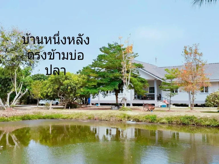 ขายที่ดินแปลงสวย พร้อมบ้านและโฮมสเตย์ ที่ อแม่ริมเชียงใหม่ใกล้ สวนดอกไม้ ไอเลิฟฟลาวเวอร์