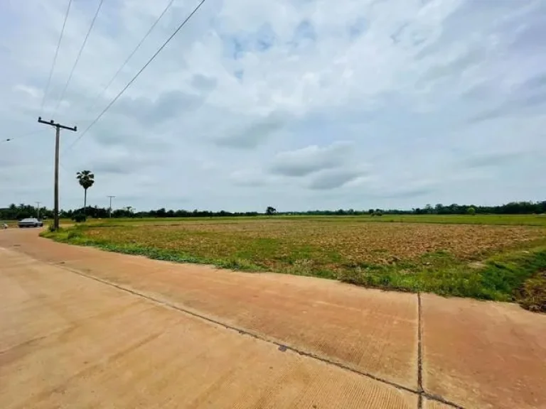 ที่ดินพรหมพิราม พิษณุโลก