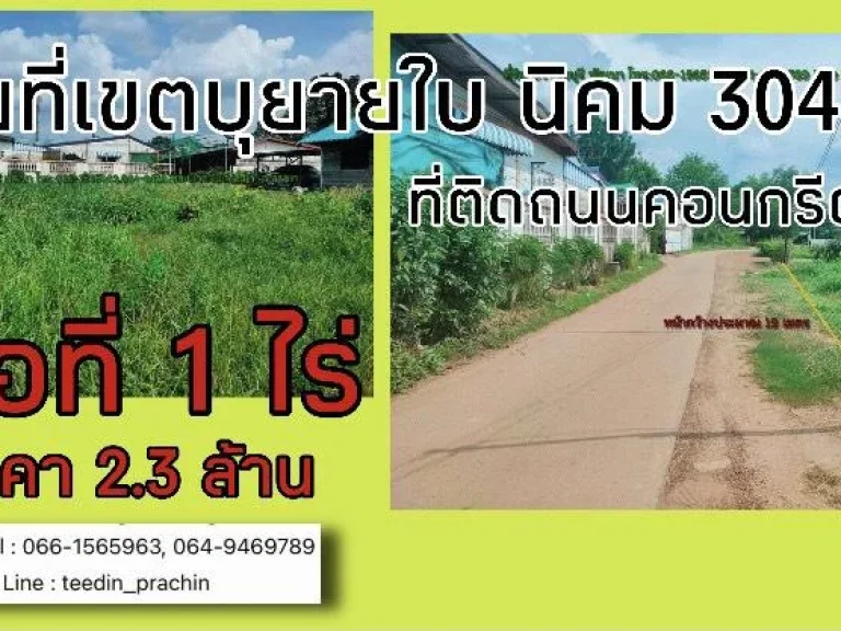 ขายที่แปลงเล็กๆ ราคาถูกๆ ในเขตบ้านบุยายใบ นิคม 304 ติดถนนคอนกรีต เนื้อที่ 1 ไร่