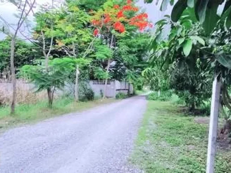 ที่ดิน 100 ตรว ซร่วมสุข ติวานนท์ ปทุมธานี