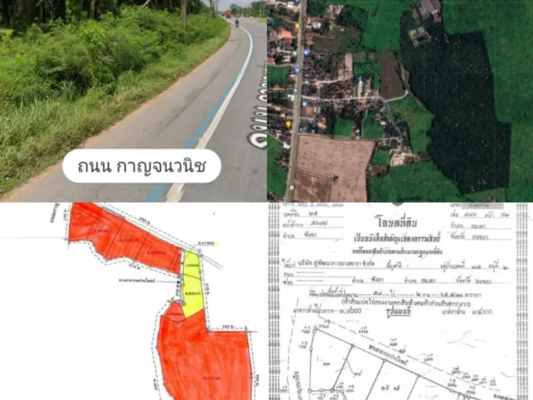 ขายที่ดินสวนปาล์มและโรงงานที่สะเดาพังลา 204 ไร่ขายรวม 390 ล้านบาท