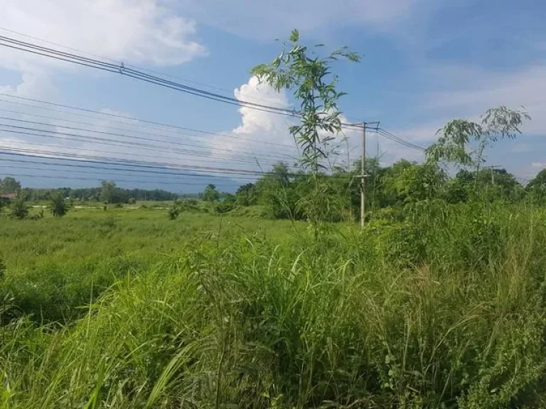 ขายทรัพย์ดีน่าจับจอง ติดถนนเอเซีย ถพหลโยธิน