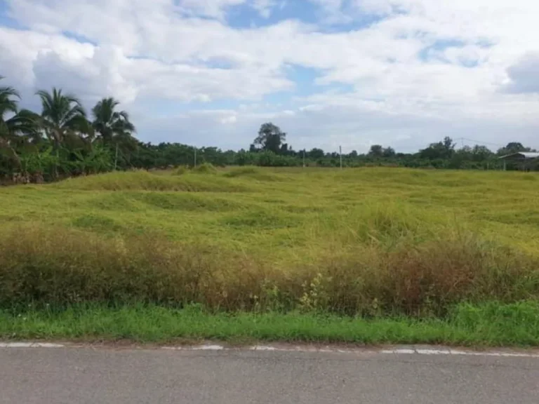 ขายที่ดินบ้านทุ่งสะโตก สันป่าตองถนนคอนกรีต ราคาถูก