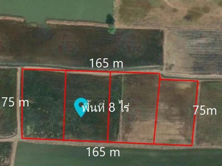 ขาย ที่ดินเปล่า พื้นที่ 8 ไร่ ขายราคาไร่ละ 7 แสนบาท ใกล้ตัวอำเภอบางปะอิน