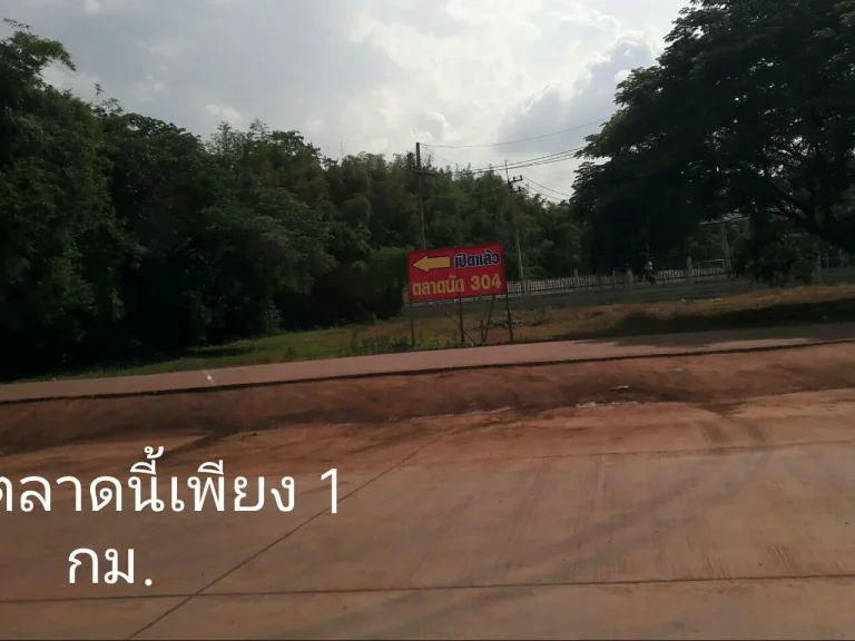  2 ไร่พึ่งบอกขาย ด่วนๆ ๆ เกือบติด นิคม ฯ 3O4-----ห่างตลาด3O4 แค่ 1 กม