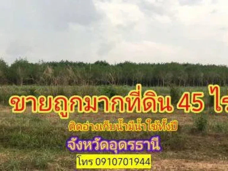 ขาย ที่ดิน ที่ดินอุดรแปลงสวยๆราคาถูก ที่ดินอำเภอเพ็ญ 45 ไร่ ขับรถถึงที่ดินที่ดินห่างจากถนนลาดยางเพียง 500 เมตร