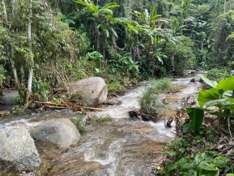 ขายที่ดินดอยสะเก็ตติดธารน้ำ เอกสาร สค 1