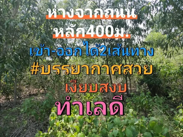 ขายที่ดินราคาต่ำกว่าตลาด2ไร่ซอยไอยรา36