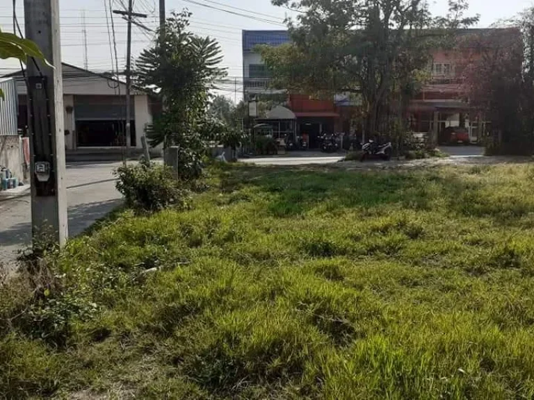 ขายที่ดินใกล้ถนนคนเดินสันกำแพง ติดถนนสามด้าน