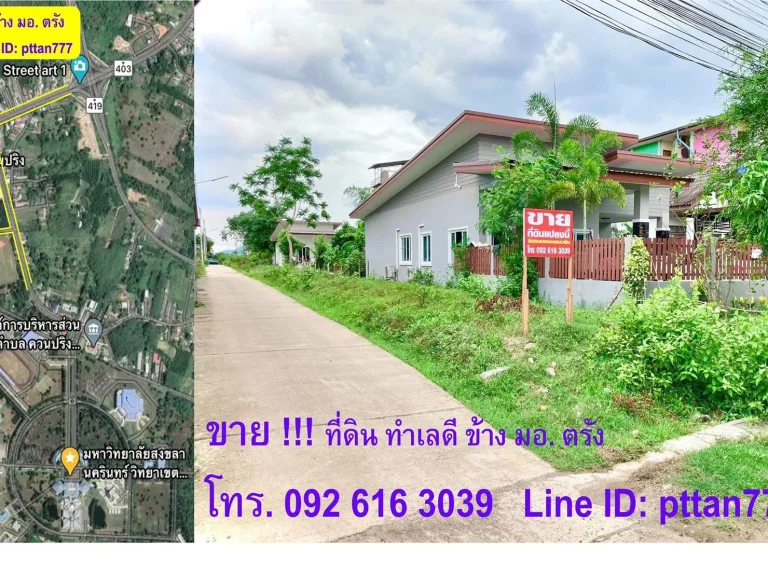 ขาย ที่ดินหัวมุม ข้าง มอ ตรัง ยินดีพูดคุยราคากันครับ