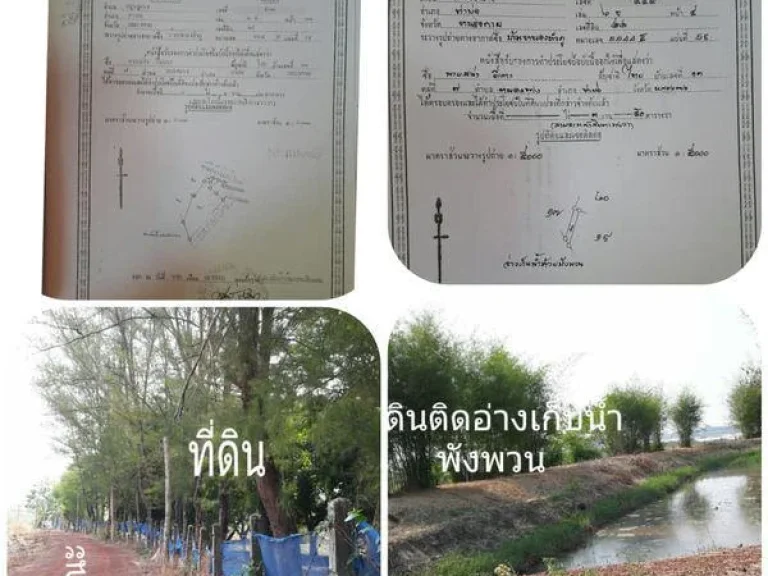 ขายที่ดิน9ไร่พร้อมต้นสนและต้นมะม่วง ติดอ่างเก็บน้ำพระธาุพังพวน