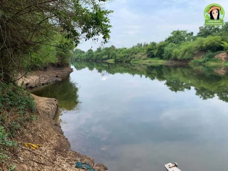 ที่ดินติดลำห้วยไร่ละ 100000 บาท อตระการพืชผล