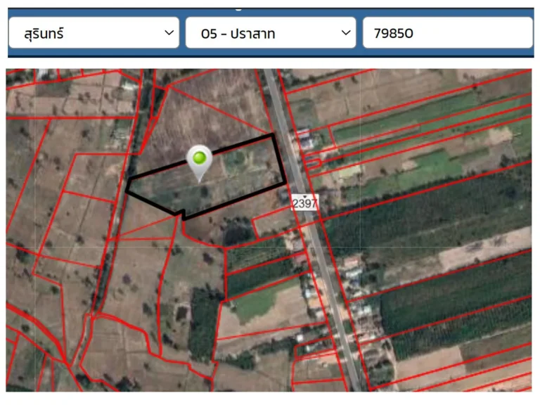 ขายที่ดิน 13 ไร่ 91 ตารางวา หน้ากว้าง ติดทางหลวง 2397 ทางหลวงแผ่นดินสายนิคมปราสาท-ข้างหมอบพัฒนา