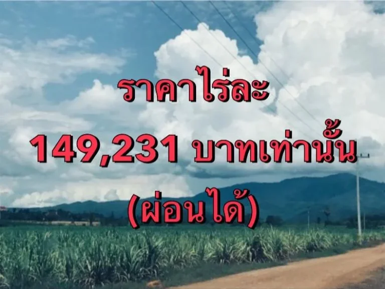 ขายที่ดิน 65 ไร่ มีไฟฟ้า 3 เฟสผ่านรอบแปลง ต หนองรี อ บ่อพลอย จ กาญจนบุรี