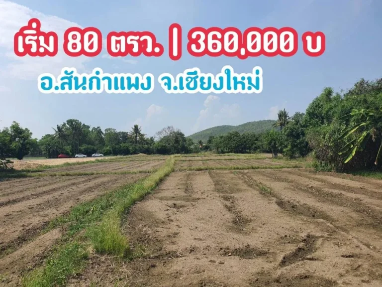 80 ตรว ขาย 360000 บ เชียงใหม่ สันกำแพง ถูกมาก