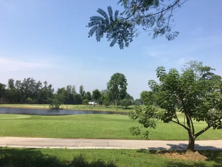 ขายที่ดินในสนามกอล์ฟเดอะเลกาซี่ The Legacy Golf Club อยู่ติดซาฟารีเวิลด์ เนื้อที่ 209 ตรว ติดถนนโครงการ