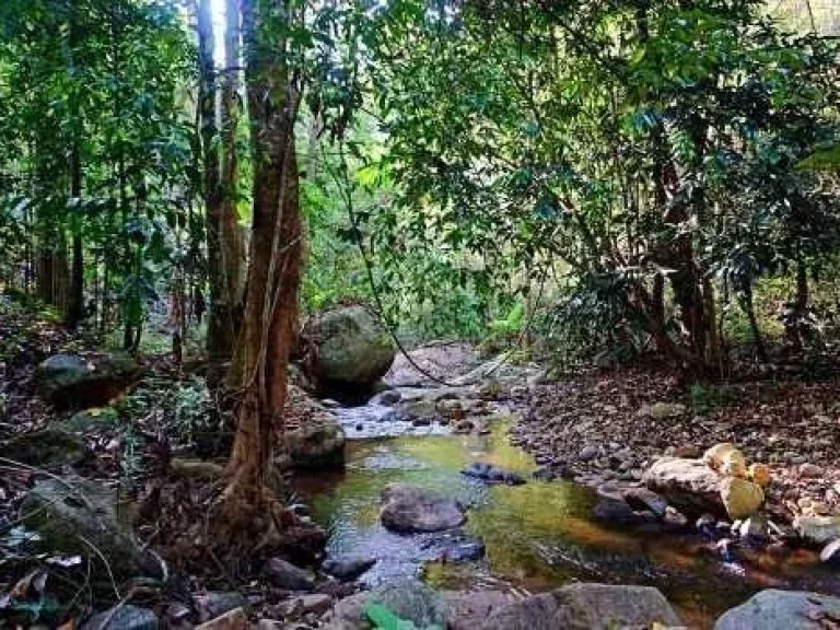 ขายที่ดินห้วยแก้วแม่ออน สันกำแพงราคาน่าลงทุน