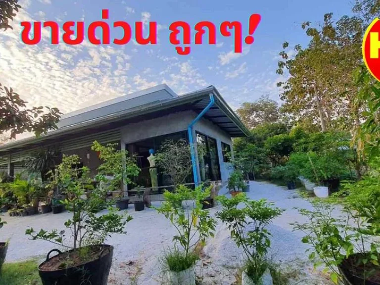 ขายบ้านพร้อมที่ดินระยอง นิคมพัฒนา เนื้อที่ 1-3-54ไร่ ขายด่วนถูก