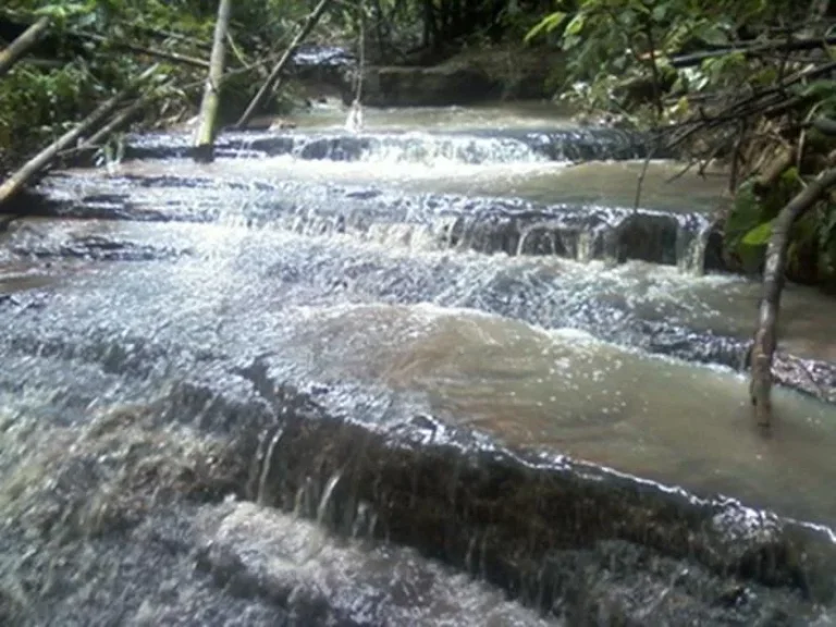 ที่ดินเนินสูง วิวสวยรอบทิศติดลำธารสวยๆมีน้ำตกในลำธารไร่ล่ะ 50000 บาท