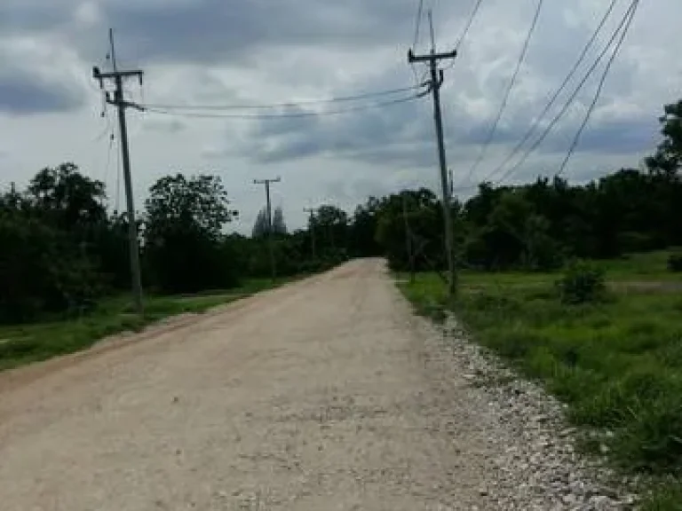 ขายที่โปรพิเศษ ที่ดินใกล้ทางหลวงแผ่นดิน ทล21