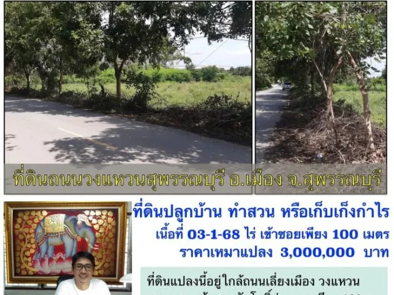 ที่ดินปลูกบ้านทำสวน ไม่ไกลชุมชน ใกล้วงแหวนสุพรรณบุรี ทางเข้าวัดโพธิ์ท่าทราย