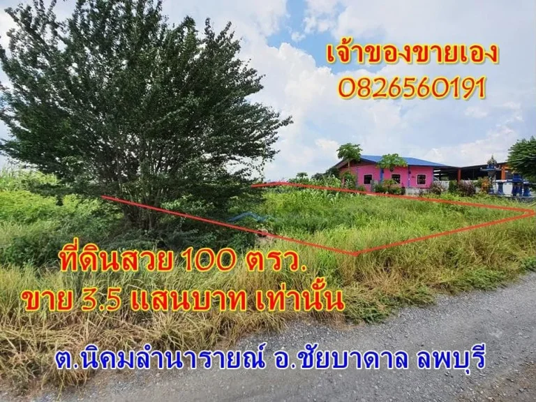 CYP001ขายที่ดินสวย สีเหลี่ยมผืนผ้า 100 ตรว ชัยบาดาล ลพบุรี