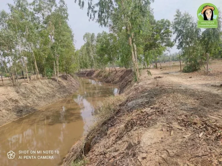 ที่นาติดห้วยเสียว ใกล้แสนไหคาเฟ่ ตหนองขอน