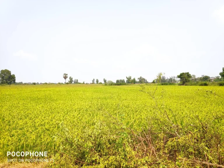 ขายที่แปลงสวยไม่ไกล60นาทีจากกรุงเทพ 1ไร่2งาน57ตรว ห่างจากถนน 340 เพียง 400 เมตร