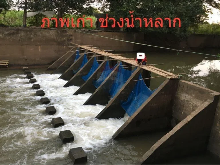 ขายที่ดิน 9-1-10 ไร่ ติดลำน้ำเชิญ อชุมแพ จขอนแก่น