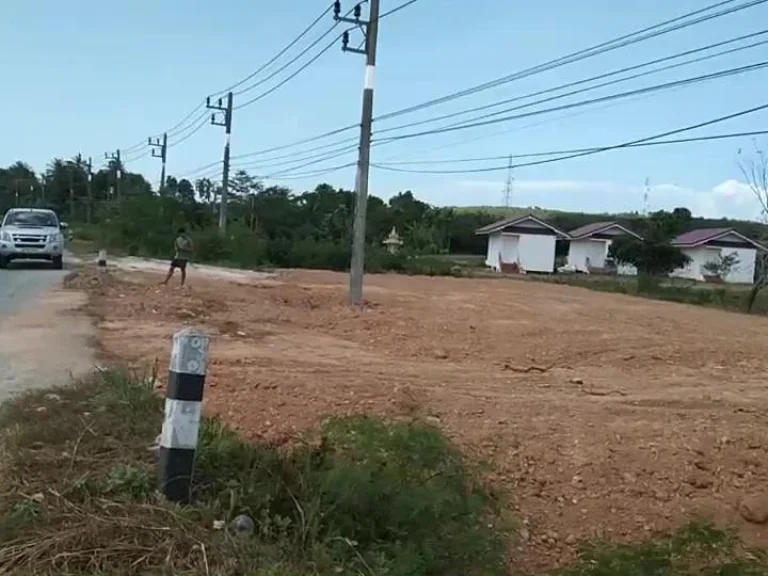 ขายที่ดินติดทางหลวงแผ่นดิน อดอนสัก จสุราษฎร์ธานี