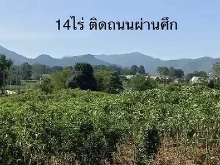 ที่ดินติดถนนผ่านศึก ปากช่อง เขาใหญ่ 14ไร่ หน้าติดถนนผ่านศึก วิวเขาใหญ่