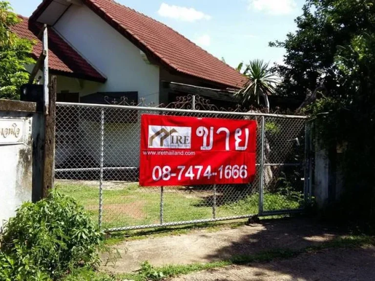 ขายบ้านเดี่ยว ชั้นเดียว ขนาด 3 ห้องนอน 2 ห้องน้ำ พร้อมที่ดิน 131 ตรว