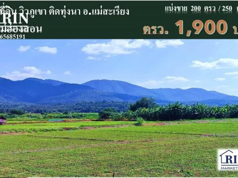 R066-010 ขายที่ดิน 200 ตรวแม่ฮ่องสอน วิวภูเขาติดทุ่งนาสวยมาก ติดถนนใหญ๋ ตแม่ยวม อแม่สะเรียง จแม่ฮ่องสอน 086-5685-1